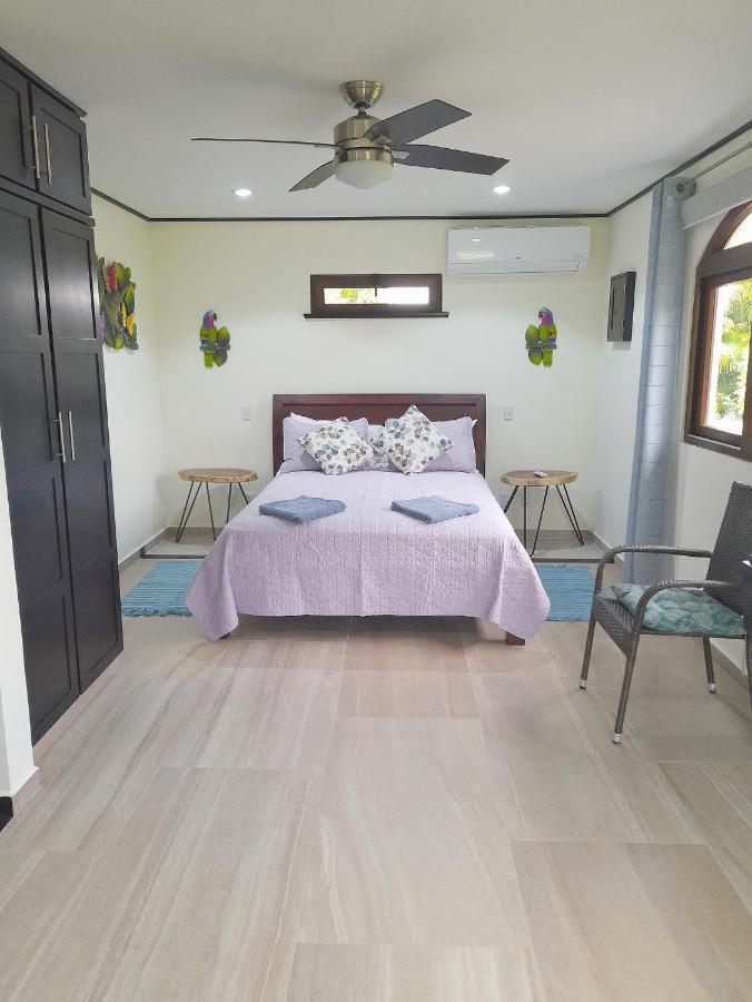 Top Rated - Lake View Arenal Suite - 2025 Traveller Awards Winner Tronadora Ngoại thất bức ảnh